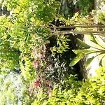 Foximanna On The North Floor In A Surrounded By Greenery Facing The Sea * Marina di Gairo