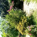 Foximanna On The North Floor In A Surrounded By Greenery Facing The Sea Apartment