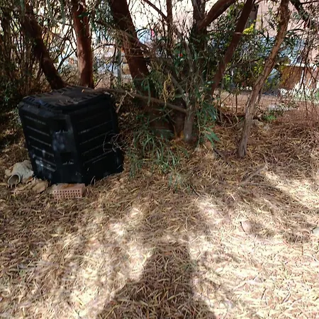 Foximanna On The North Floor In A Surrounded By Greenery Facing The Sea