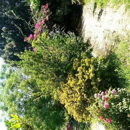 Foximanna On The North Floor In A Surrounded By Greenery Facing The Sea Апартаменты