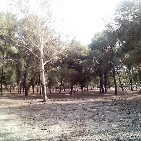Foximanna On The North Floor In A Surrounded By Greenery Facing The Sea Апартаменты